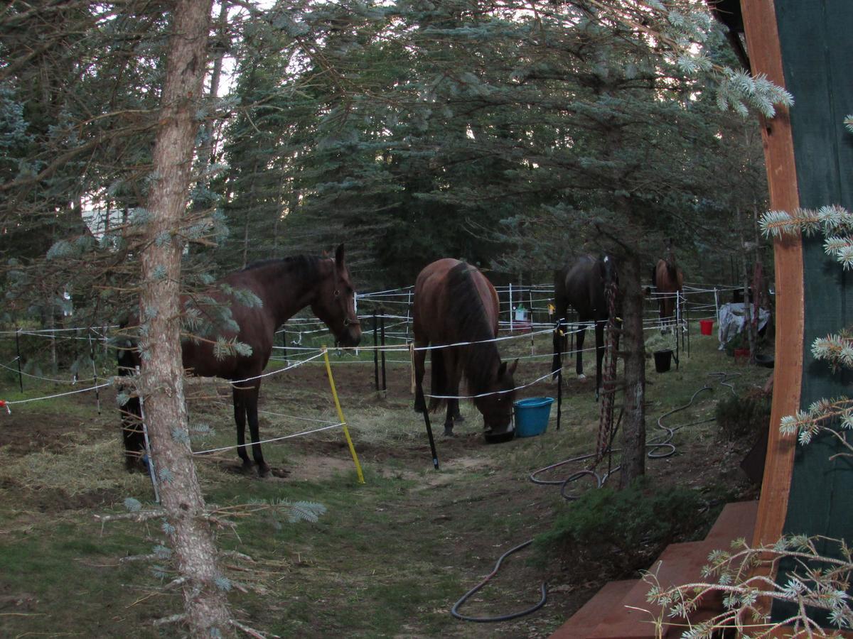 Best Bear Lodge & Campground Irons Exterior foto